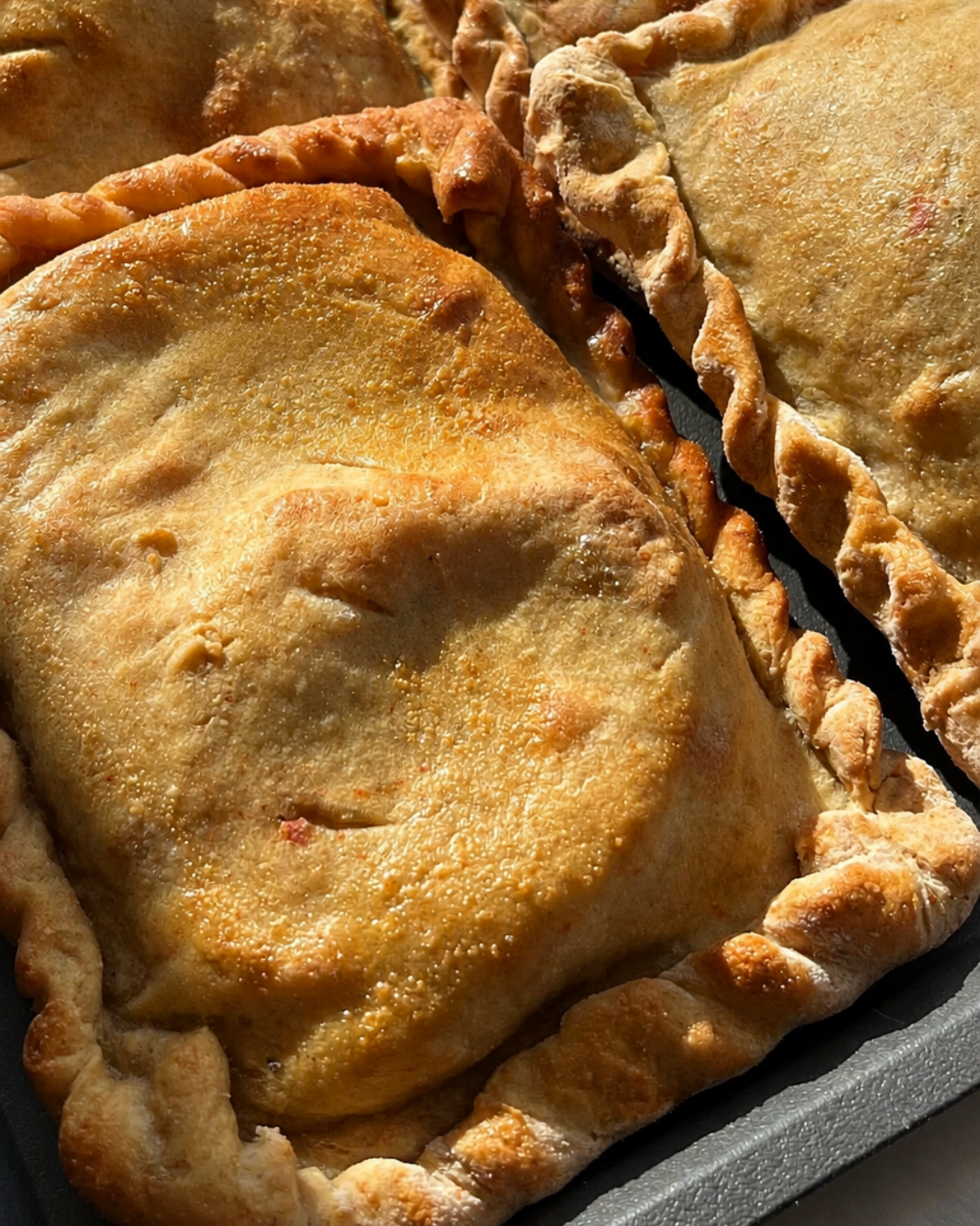 Empanada gallega (RINDE 2 PORCIONES)